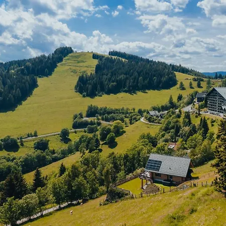 Chalet Adlerkopfhuette *